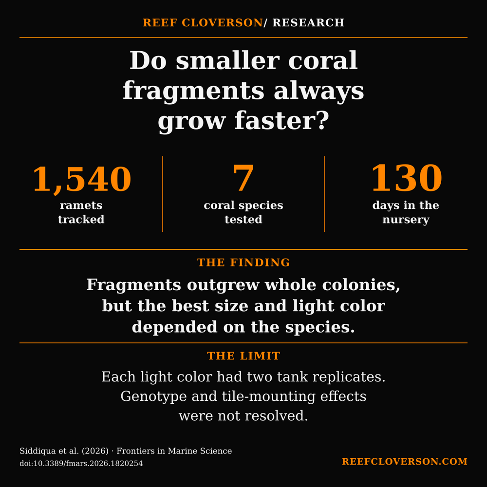 Research summary: fragment size and light effects varied among seven coral species; tank replication and unresolved genotype effects limit the result.