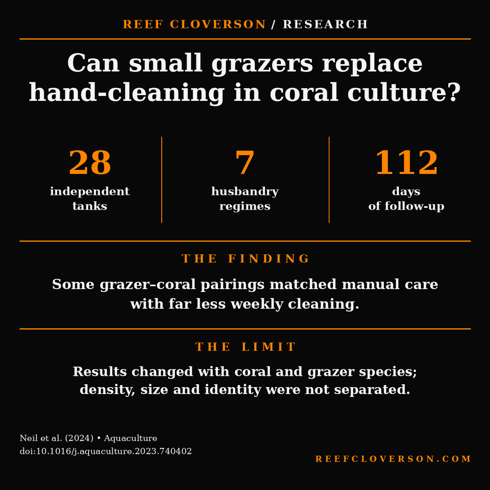Research summary: 28 tanks compared seven coral-nursery husbandry regimes for 112 days. Some small grazers matched manual care with less cleaning, but outcomes varied by coral and grazer species and did not isolate grazer size, density or identity.