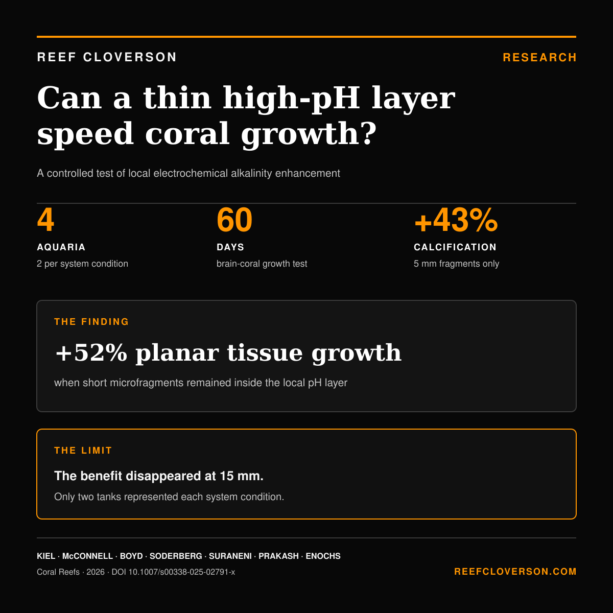 Reef Cloverson research summary: a 2026 four-aquarium study found 43% higher calcification and 52% higher planar tissue growth only in 5 mm brain-coral microfragments within a local high-pH layer; two tanks represented each system condition.