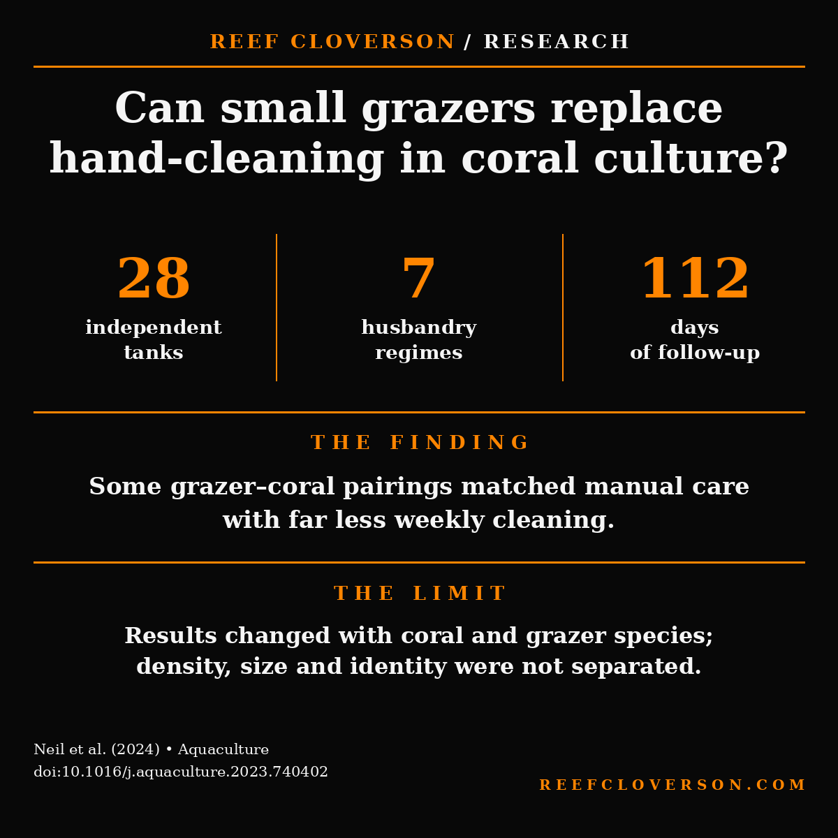 Research summary: 28 tanks compared seven coral-nursery husbandry regimes for 112 days. Some small grazers matched manual care with less cleaning, but outcomes varied by coral and grazer species and did not isolate grazer size, density or identity.