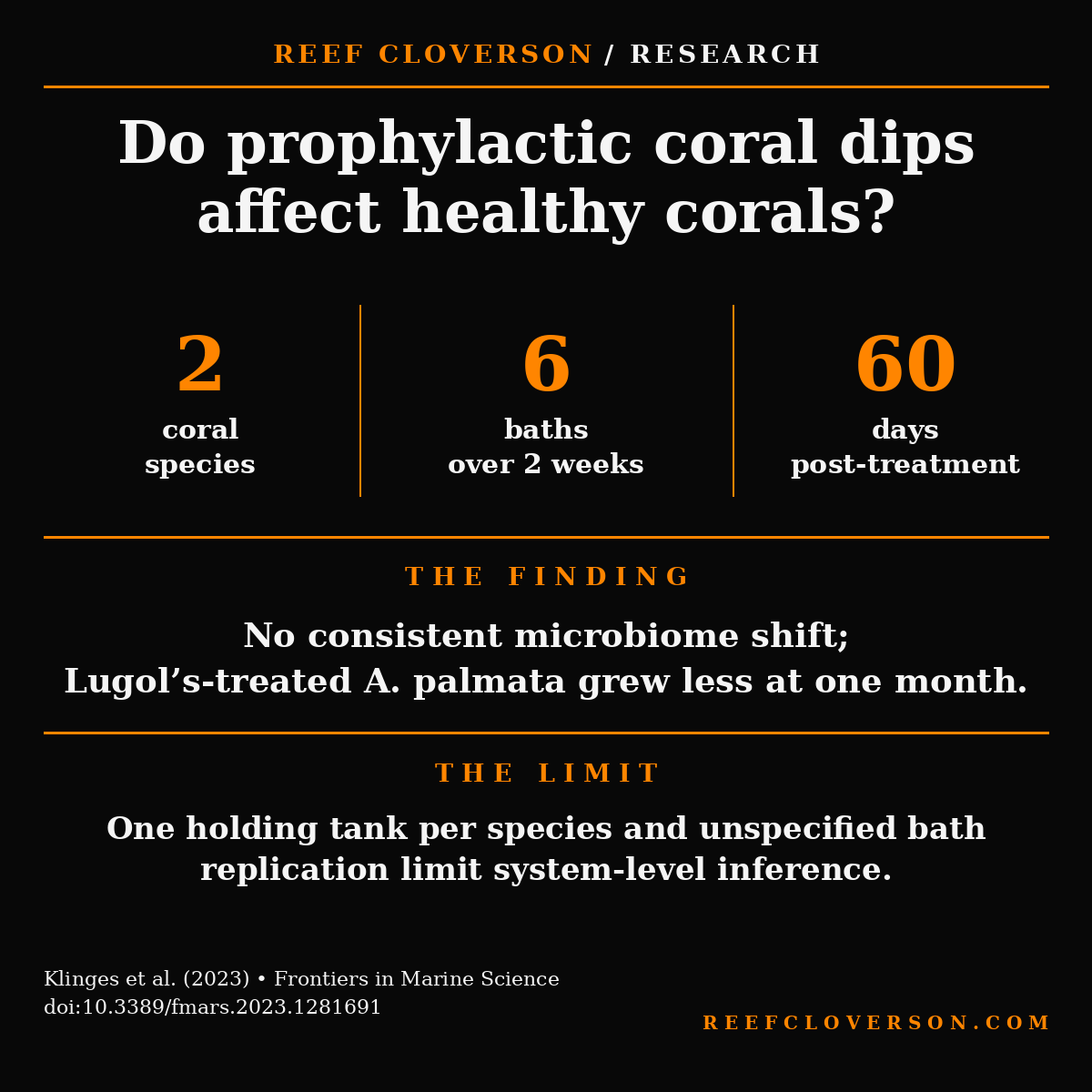 Research summary: two coral species received six prophylactic baths and were followed for 60 days. No consistent microbiome shift appeared, but Lugol’s-treated Acropora palmata grew less; one holding tank per species limits inference.