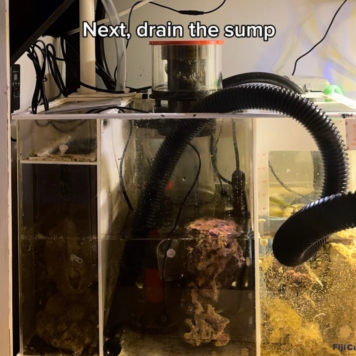 Aquarium with sump system 