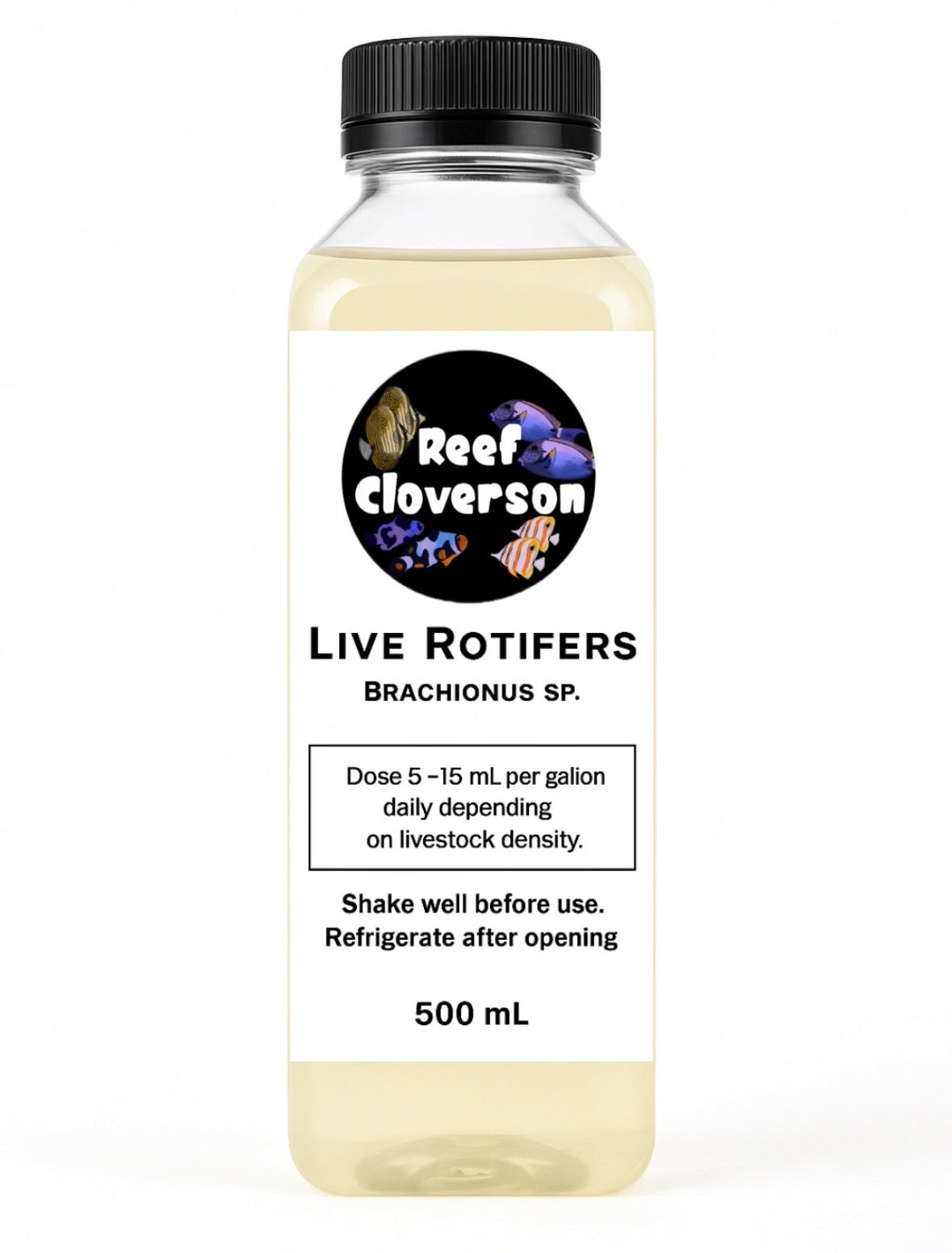 Reef Cloverson - Live Rotifers