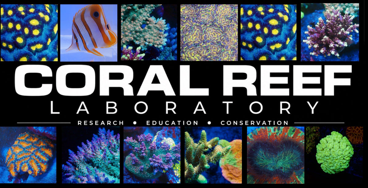Coral Reef Laboratory artwork with photographs of corals and a fish
