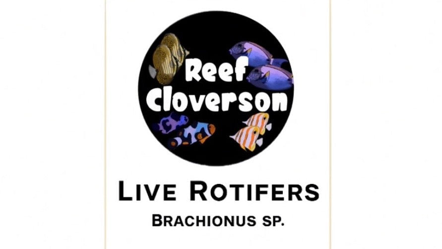 Reef Cloverson Live Rotifers packaging with fish illustration and usage instructions.